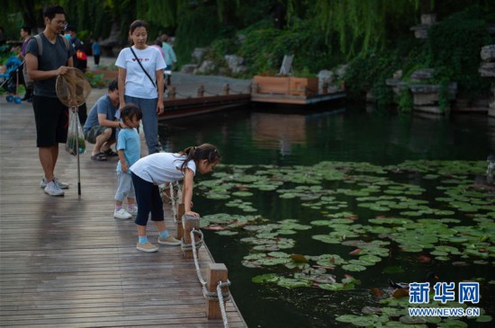 （走向我们的小康生活）（1）北京：老百姓家门口的绿地公园