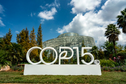 解碼COP15：這場大會關乎全球未來
